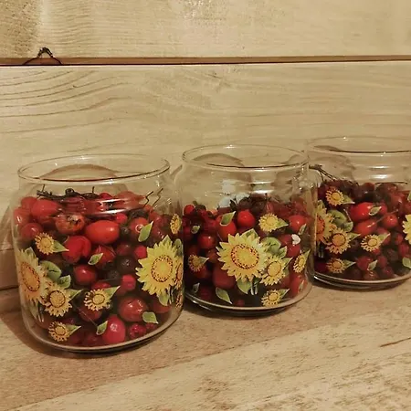 Nase Malo Selo-jahorina 펜션 Dvorista