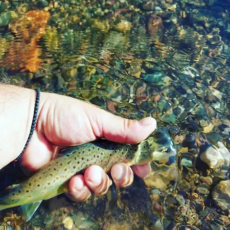 Nase Malo Selo-jahorina Dvorista