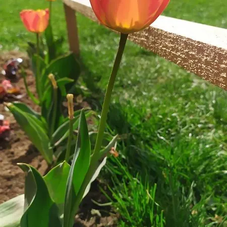 Nase Malo Selo-jahorina 펜션